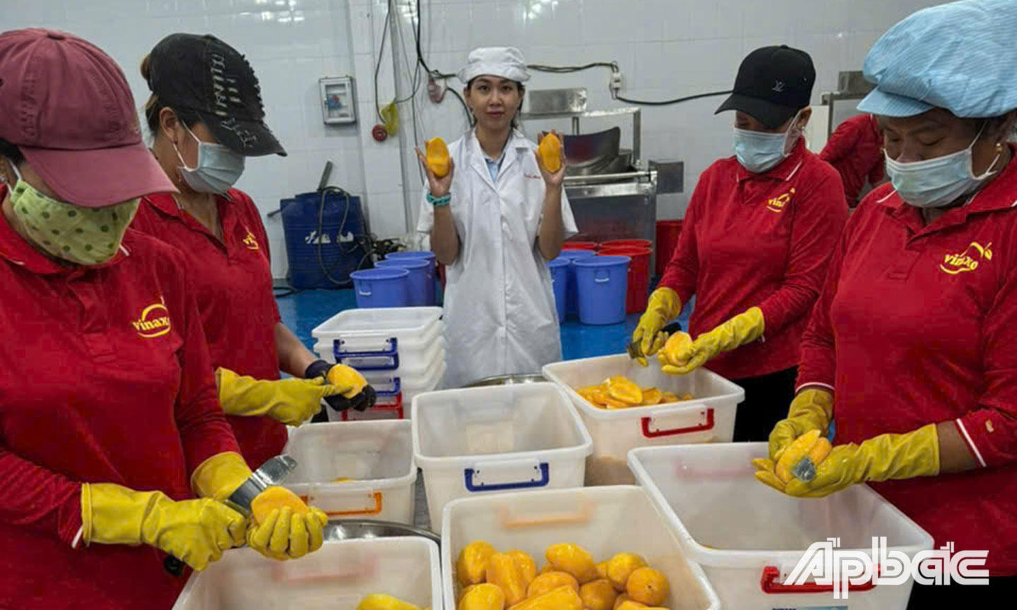 Công ty TNHH Vinaxo do vợ chồng anh Khoa - chị Thảo tạo dựng đang ngày càng phát triển.