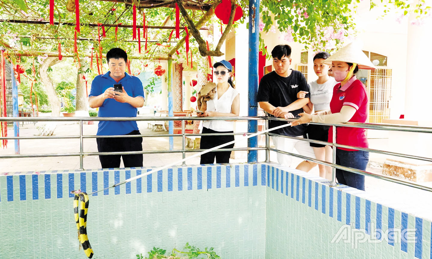 Trại rắn Đồng Tâm  bảo tồn hơn 50 loại rắn  (10 loại rắn độc).