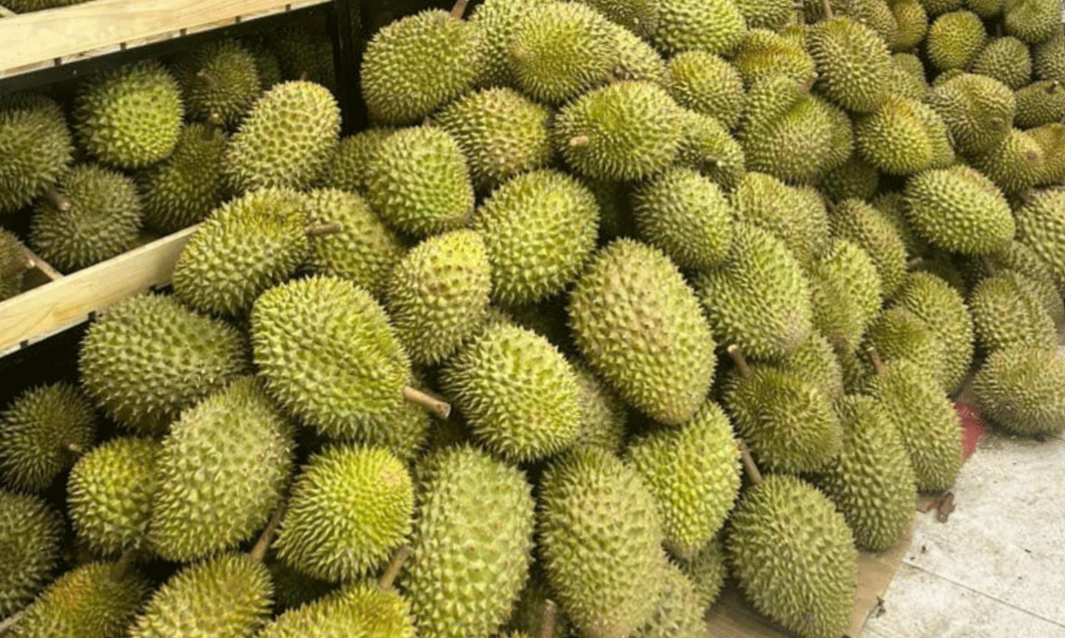 Cần phải thiết lập hệ thống giám sát chất lượng từ gốc, tăng cường khâu kiểm nghiệm tại cơ sở sản xuất sầu riêng - Ảnh: VGP/Đỗ Hương