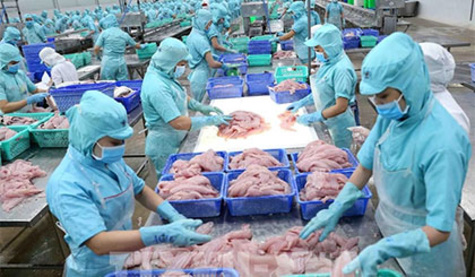 Phản bác quan điểm sai trái, xuyên tạc dự thảo các văn kiện của Đảng về các thành phần kinh tế