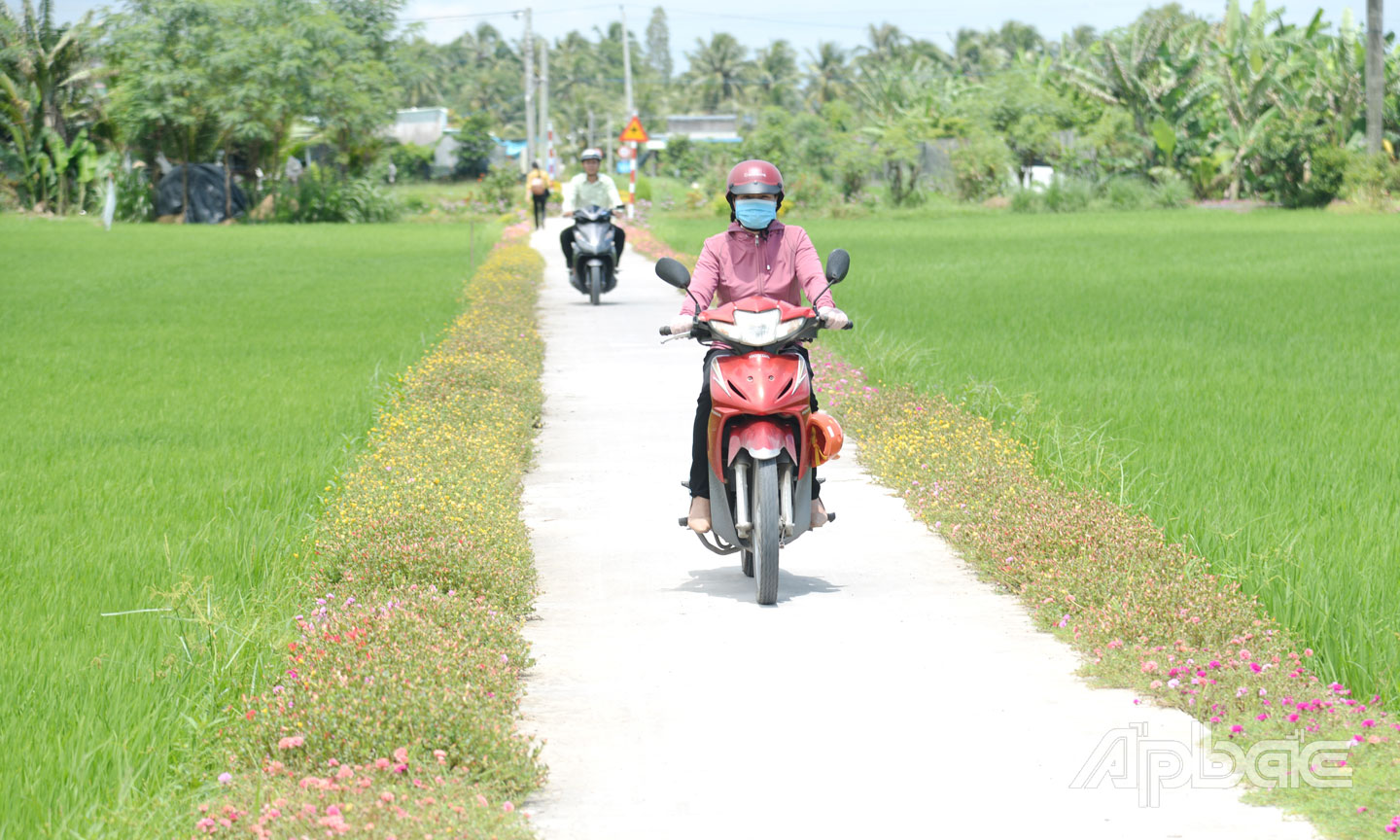 Tỉnh Đồng Tháp có hệ thống hạ tầng nông thôn hoàn chỉnh từ nền tảng xây dựng NTM của tỉnh Tiền Giang và Đồng Tháp trước đây.