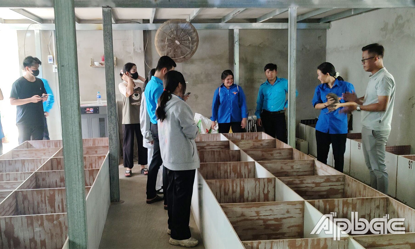 Đoàn viên, thanh niên tham quan mô hình nuôi dúi của anh Hiếu.