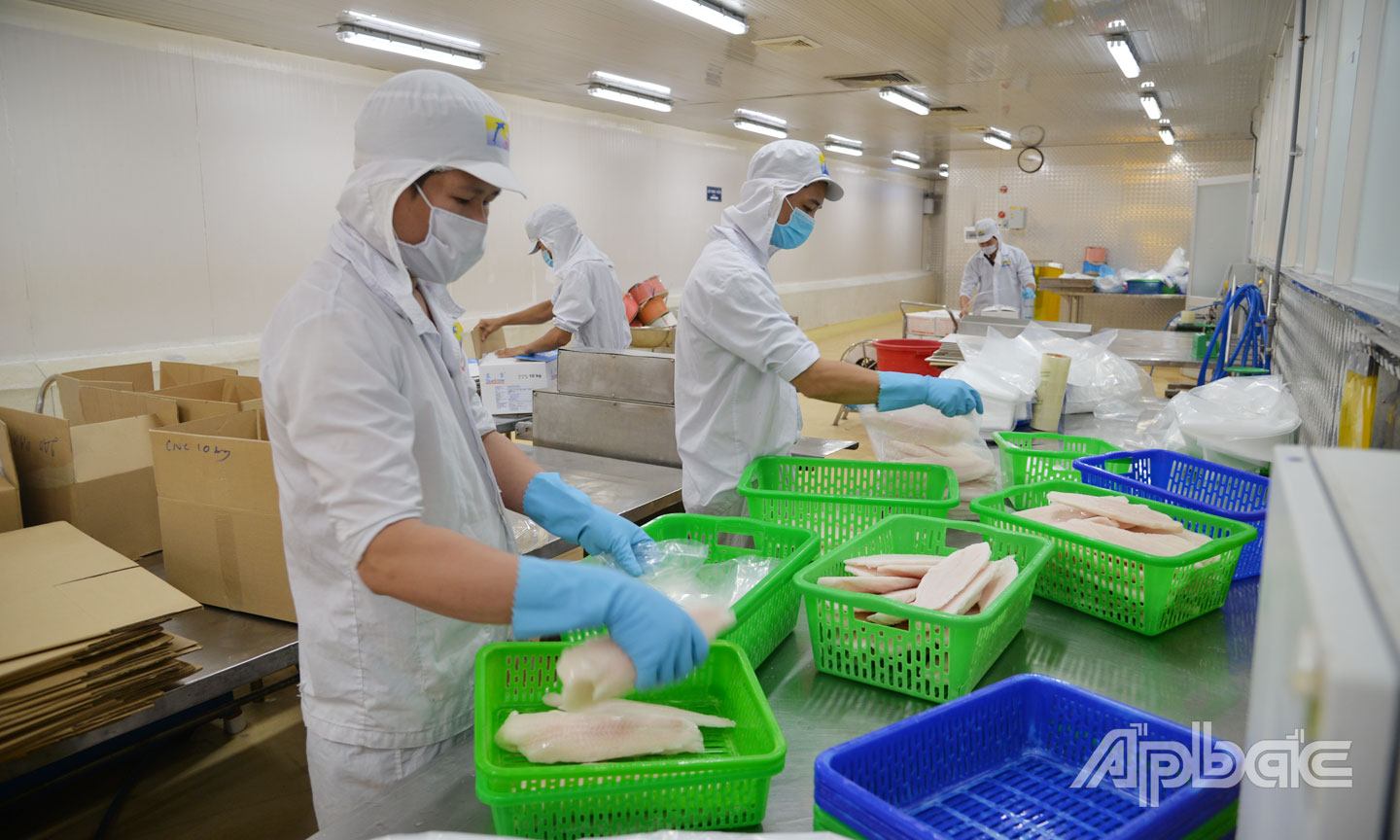 Thủy sản chế biến đóng góp tích cực trong kim ngạch xuất khẩu của Đồng Tháp hiện nay.