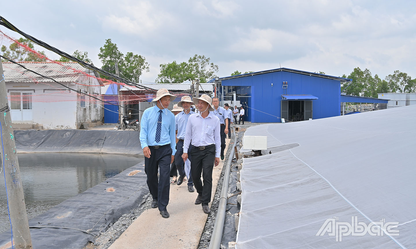 Mô hình nuôi tôm công nghệ cao phát triển trên địa bàn xã.