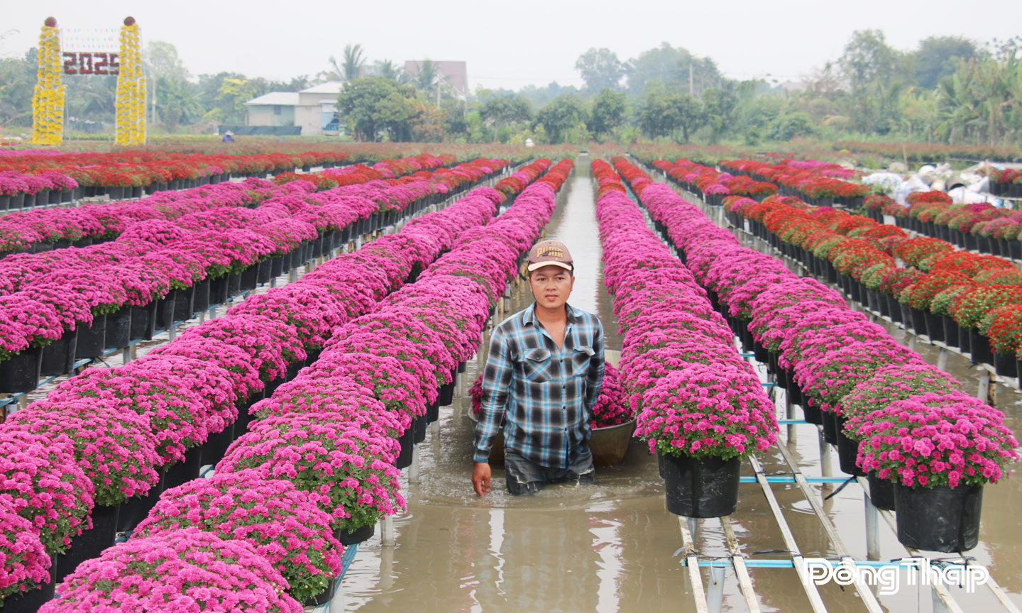 Mỗi dịp lễ, tết, Làng hoa  Sa Đéc là  điểm đến thu hút đông đảo  du khách  gần xa.
