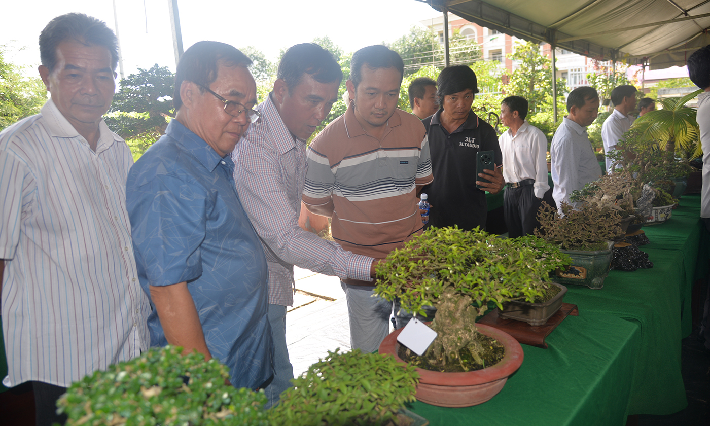 Chơi kiểng bonsai - thú vui tao nhã đối với nhiều người.