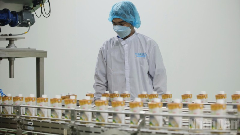 Thế mạnh chế biến nông sản ở Đồng Tháp