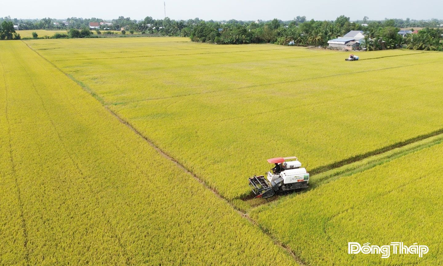 Nông dân xã Tân Phước 2 đẩy mạnh áp dụng cơ giới hóa, khoa học kỹ thuật vào sản xuất lúa.