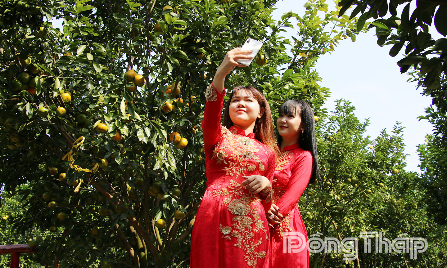 Xã Tân Dương đã và đang phát huy thế mạnh về du lịch sinh thái.