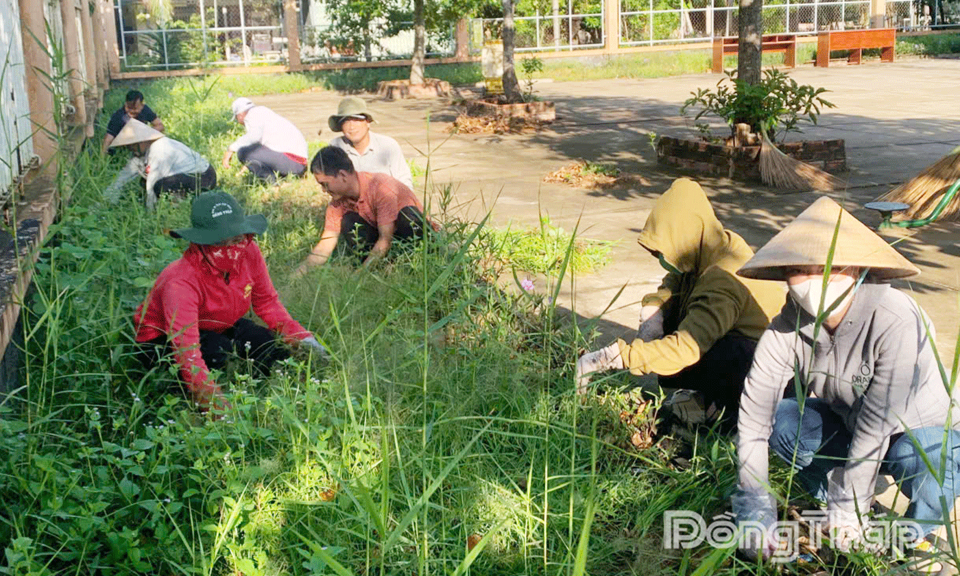 Cán bộ Hội và HVPN ra quân nhổ cỏ, dọn vệ sinh môi trường thiết thực Chào mừng Đại hội Đại biểu Đảng bộ xã Hưng Thạnh (nhiệm kỳ 2025-2030).