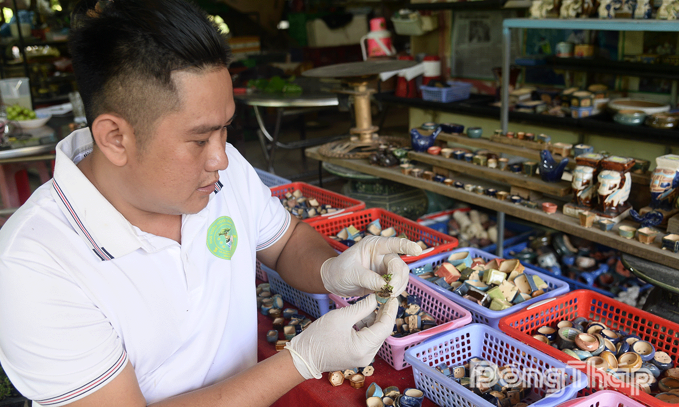 Chọn chậu phù hợp cho từng cây.