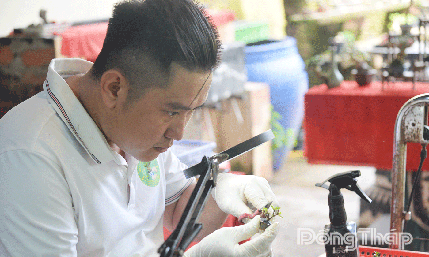 Việc uốn nắn tạo thế cho cây bon sai siêu nhỏ đòi hỏi khéo tay, cẩn thận.