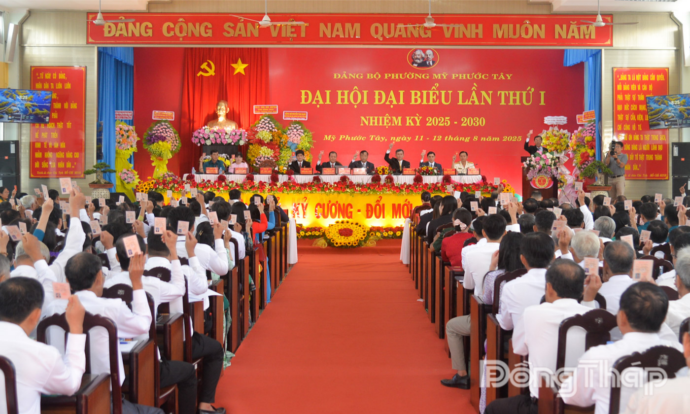 Đại biểu biểu quyết.