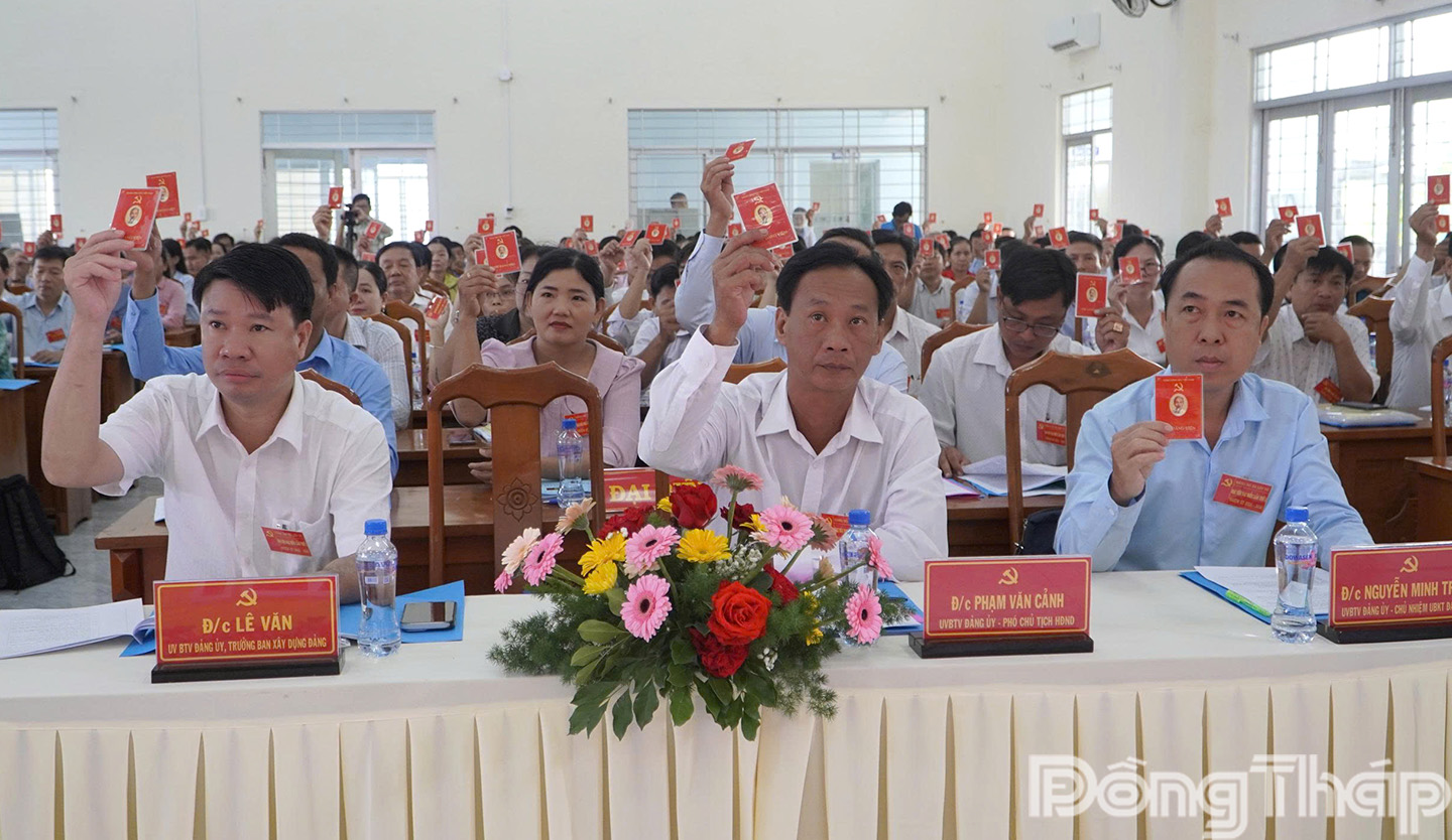 Đại biểu biểu quyết tại Đại hội.