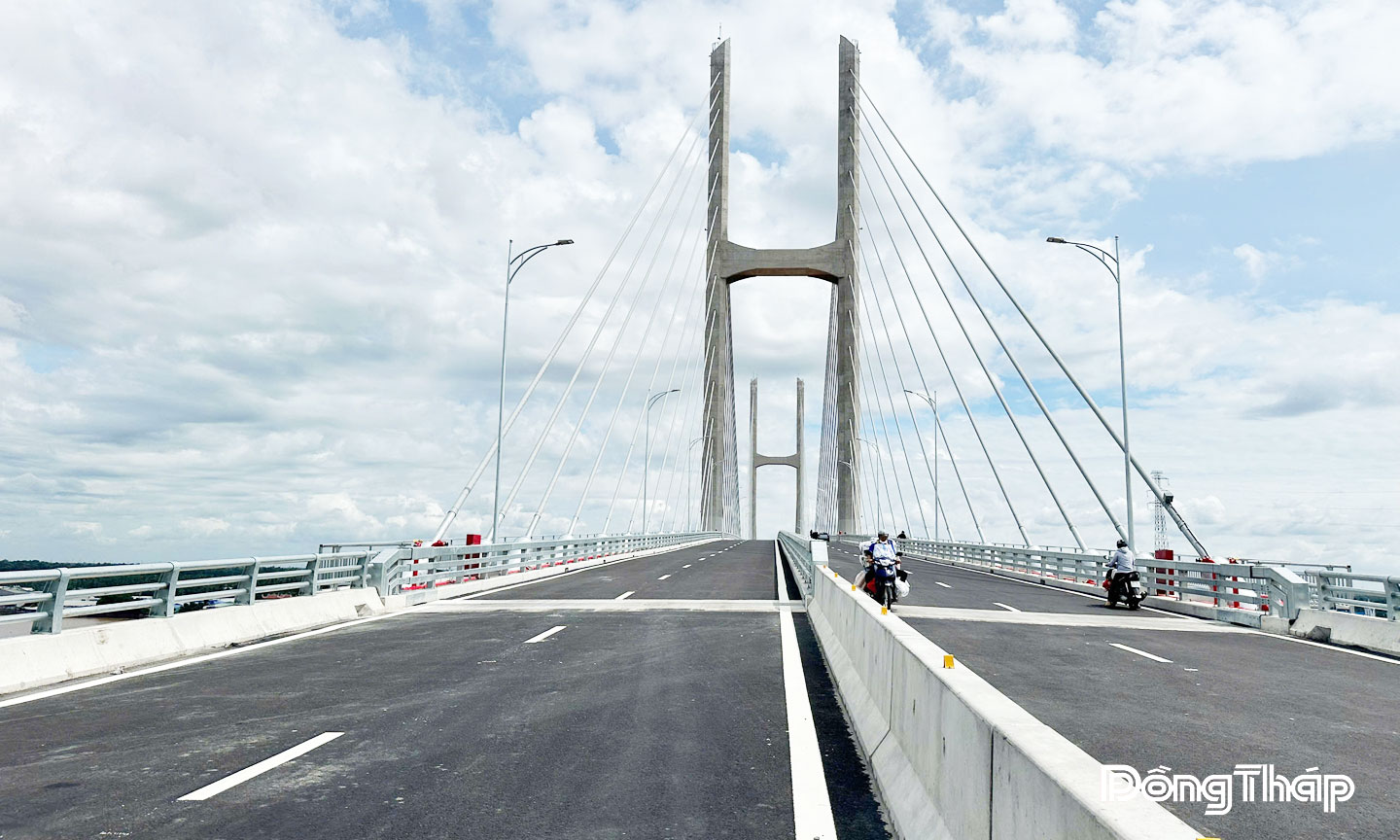 Cầu có quy mô 6 làn xe (4 làn xe cơ giới và 2 làn xe thô sơ), vận tốc thiết kế 80 km/giờ. 