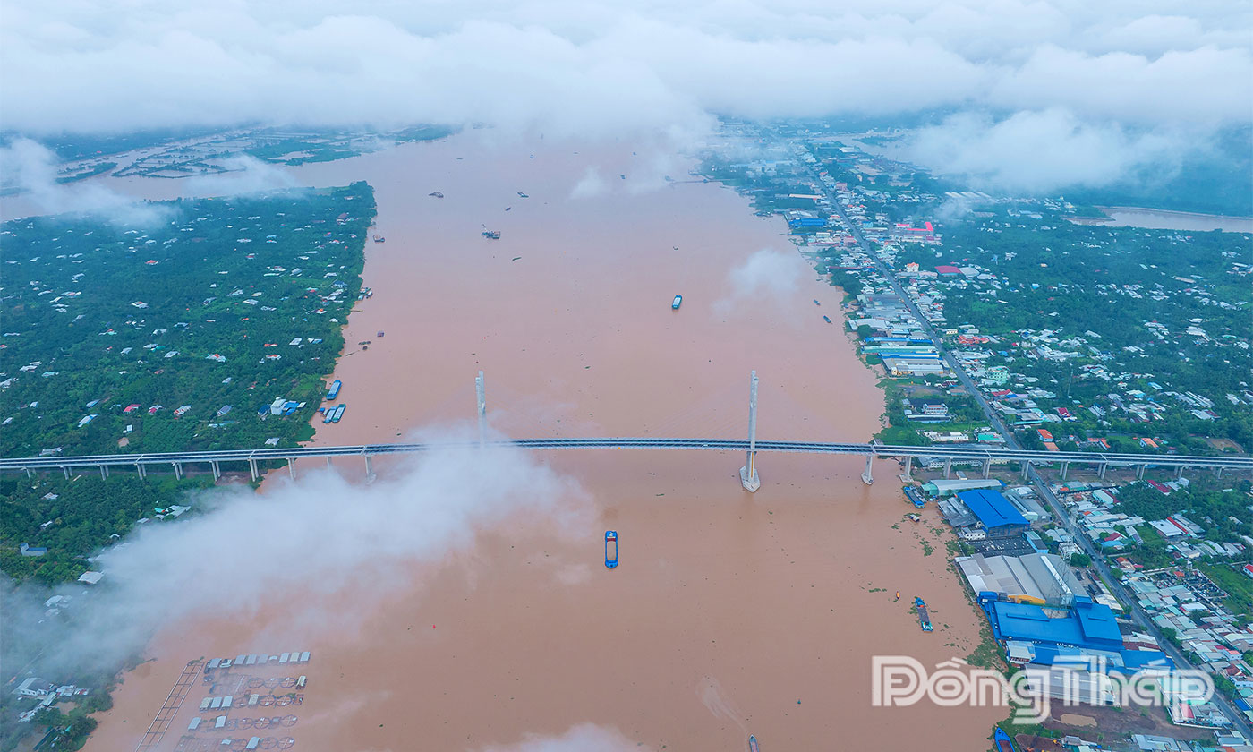 Cầu Rạch Miễu 2 nhìn từ trên cao.