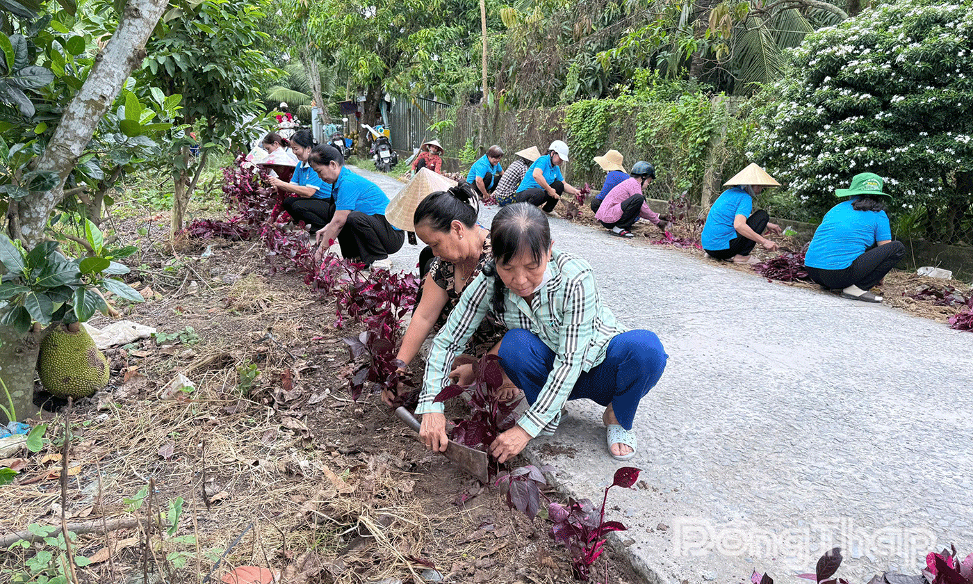 Hội LHPN xã Tân Thành ra quân dọn vệ sinh 