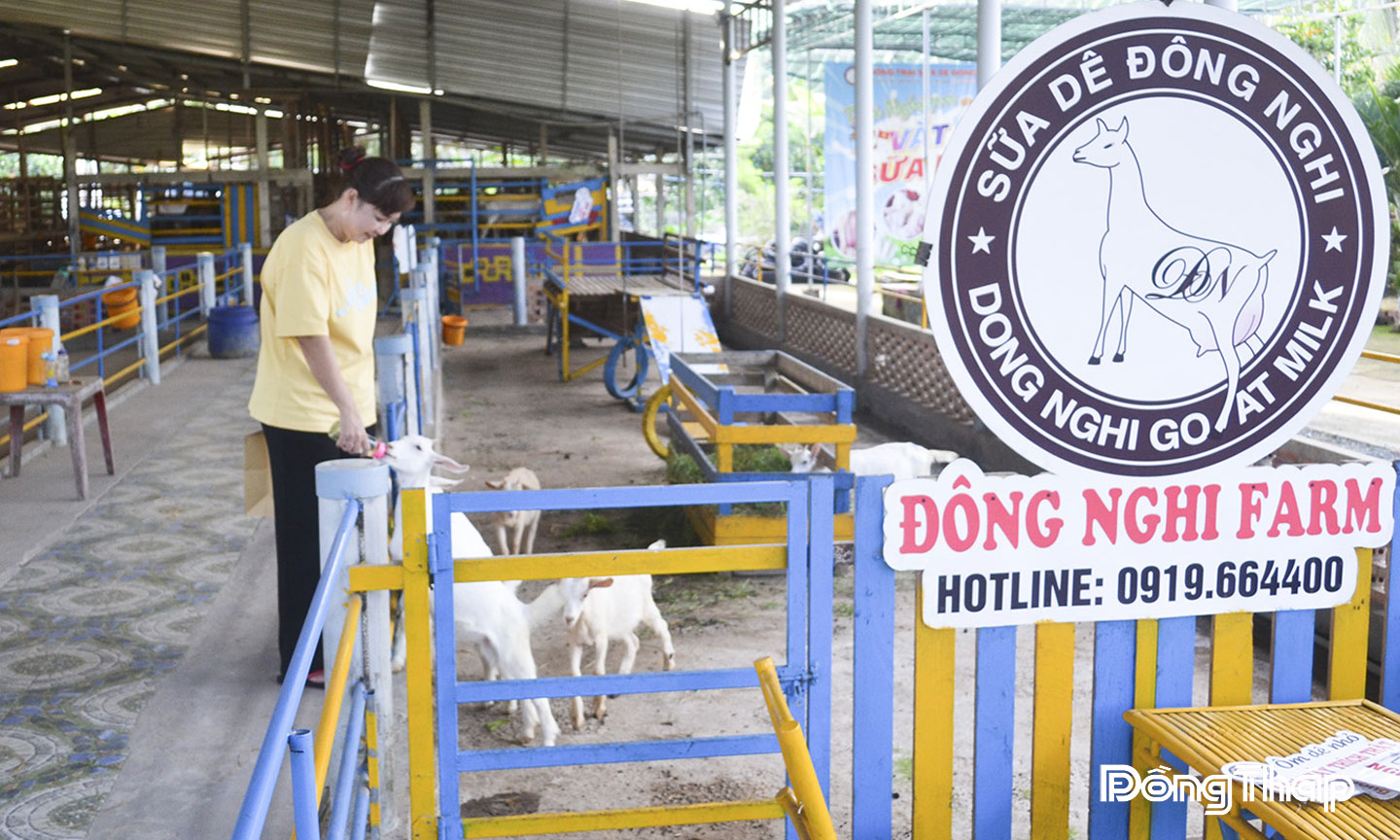 Các sản phẩm từ sữa dê của Hợp tác xã Nông nghiệp Đông Nghi đang được người tiêu dùng đón nhận tích cực.