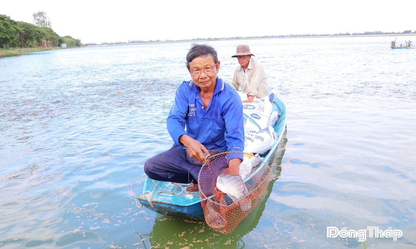 Sau vụ cá rô phi, mảnh ruộng này sẽ được ông Nguyễn Đức Trung (ngụ phường An Bình) tận dụng trồng lúa mùa nổi kết hợp với nuôi trữ cá đồng.
