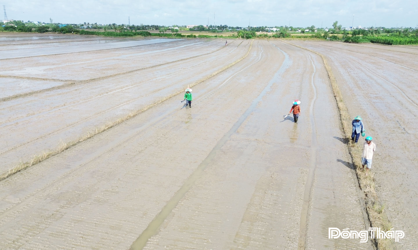Thành viên Hợp tác xã Nông nghiệp tổng hợp Hòa Thạnh tích cực tham gia mô hình sản xuất lúa chất lượng cao, giảm phát thải.