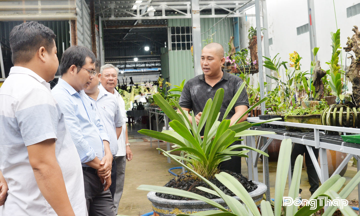 Anh Nhân (bìa phải) nhiệt tình chia sẻ kỹ thuật chăm sóc lan.