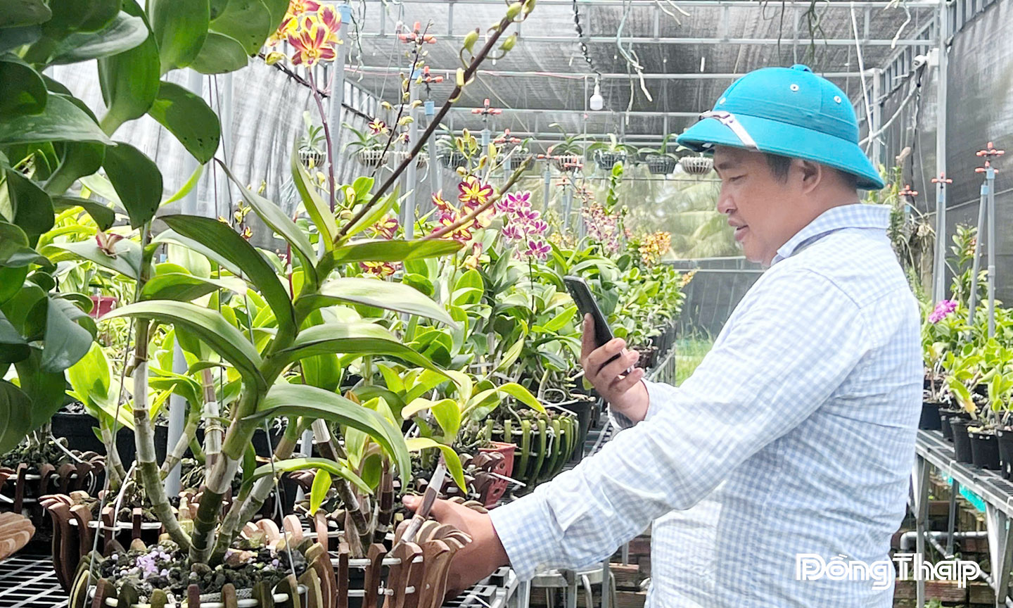 Anh Nguyễn Nhật Hoàng Nhân chăm sóc vườn lan.