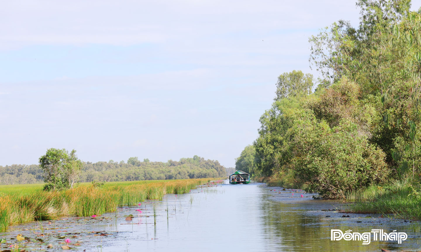 Vườn Quốc gia Tràm Chim “khoác áo”mới vào mùa nước nổi.