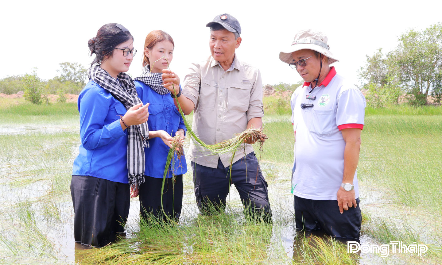 Tiến sĩ Trần Triết, Giám đốc Chương trình Đông Nam Á, Hội Sếu Quốc tế (thứ 2 từ phải sang) kiểm tra thực địa về sự phục hồi của quần xã năng kim tại Vườn Quốc gia Tràm Chim.