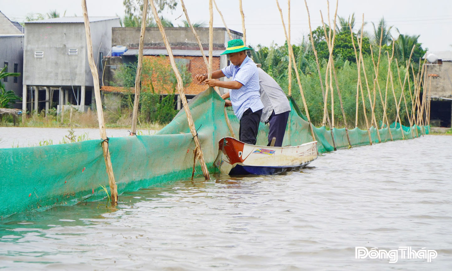 Thành viên Hợp tác xã Dịch vụ nông nghiệp sinh thái Quyết Tiến, thuộc xã Phú Thọ (tỉnh Đồng Tháp) vây lưới trên đồng ruộng nuôi trữ cá mùa lũ.
