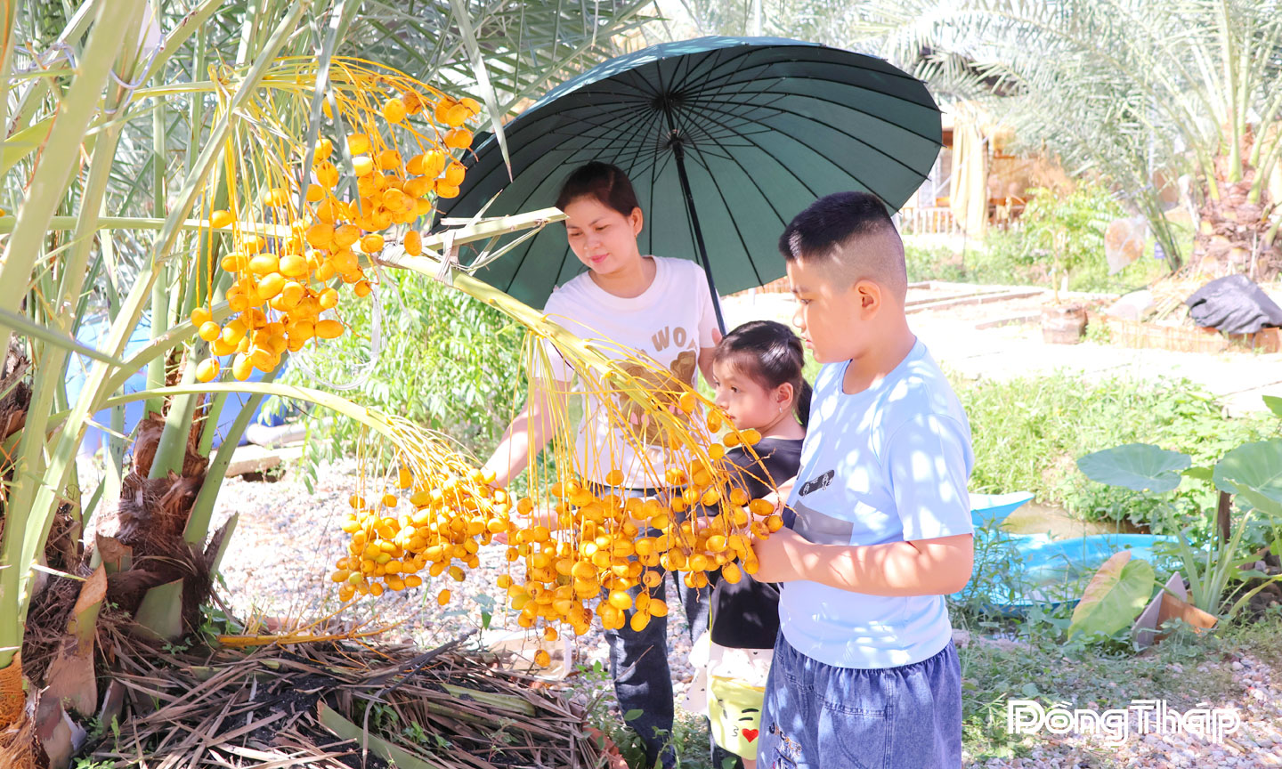 Du khách thích thú tham quan tại vườn sinh thái Chala Farm.