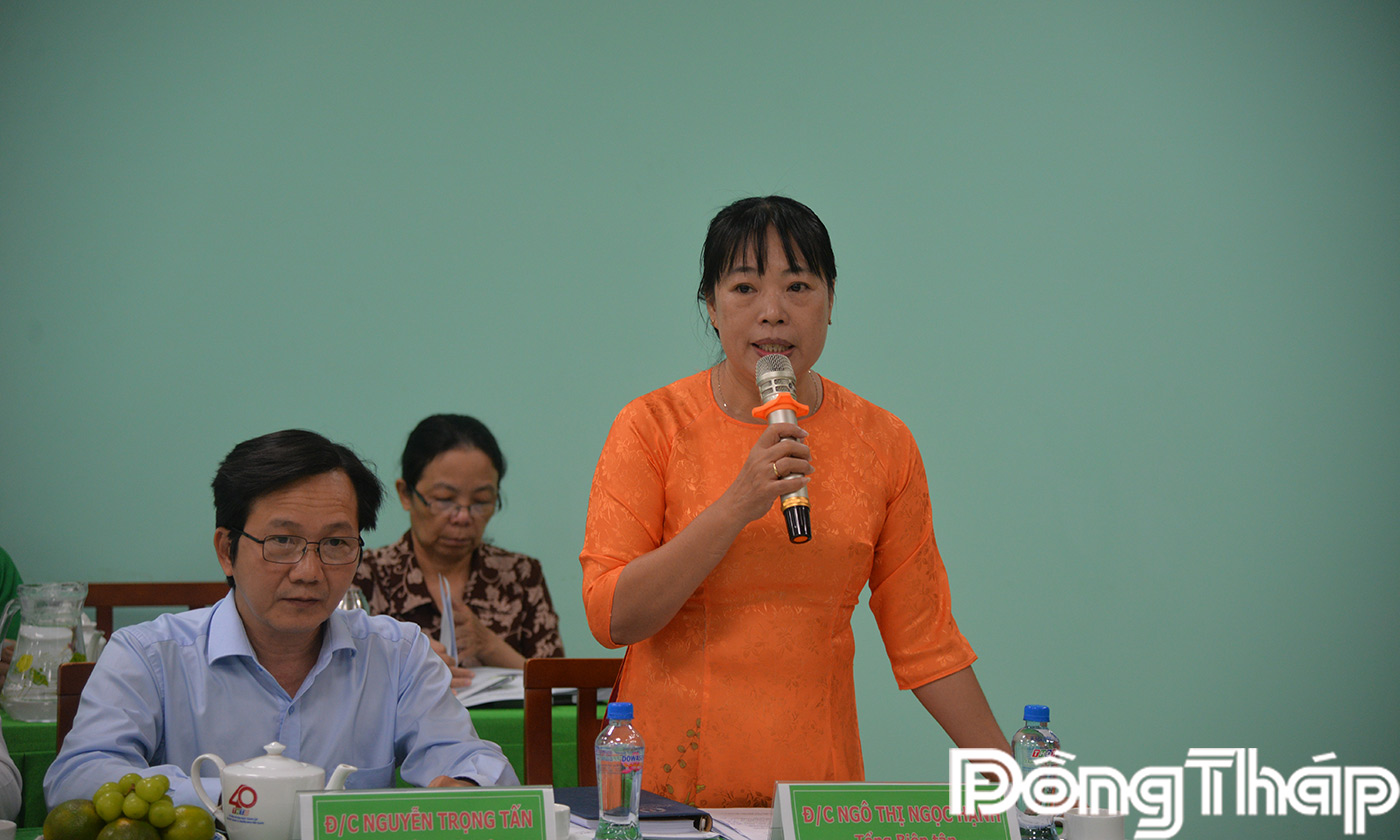 đồng chí Ngô Thị Ngọc Hạnh, tình hình hoạt động của Báo và Phát thanh, Truyền hình Đồng Tháp sau khi hợp nhất