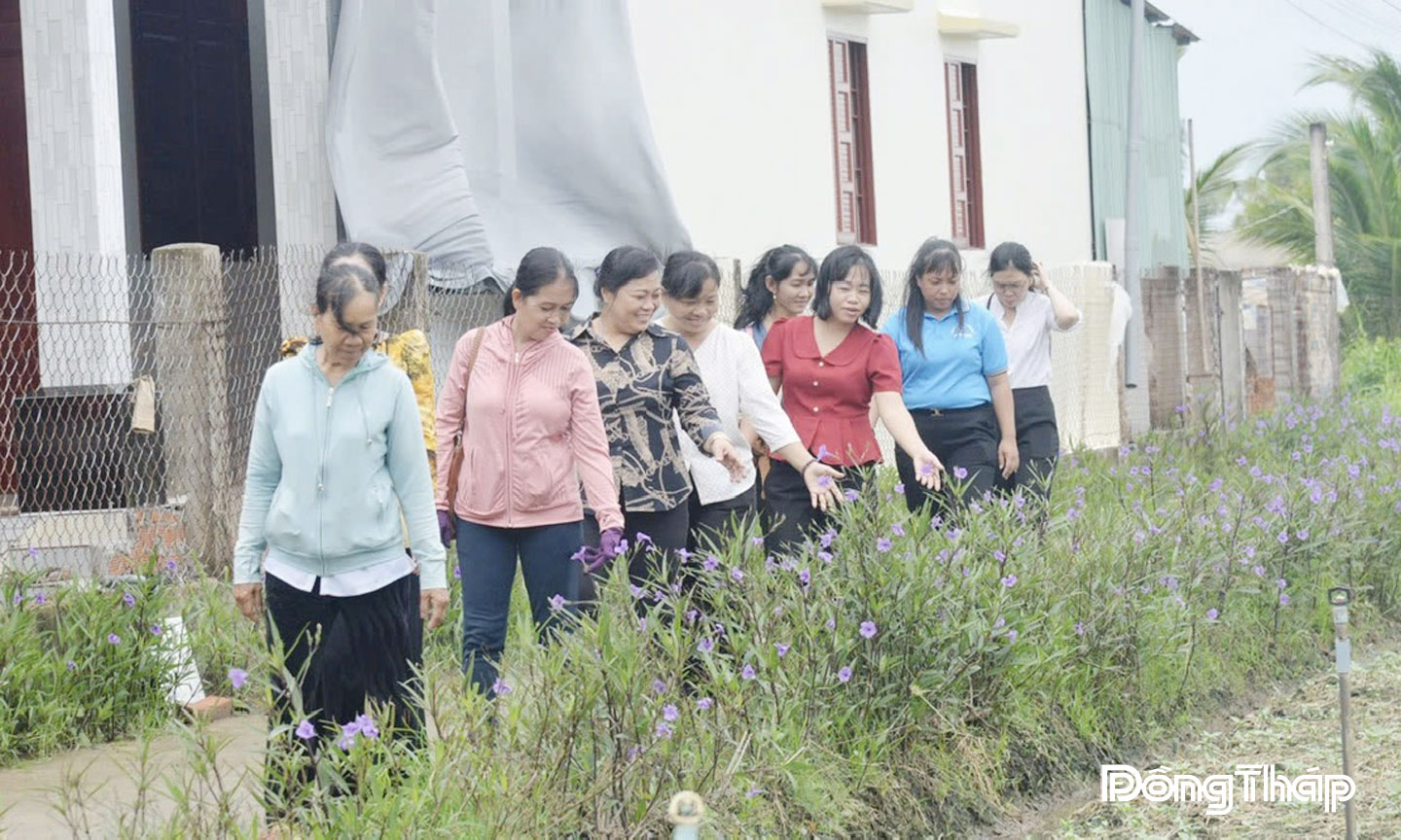 Tuyến đường nở hoa.