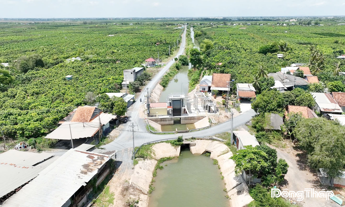 Xã cù lao Tân Long, tỉnh Đồng Tháp có nhiều tiềm năng phát triển nông nghiệp.