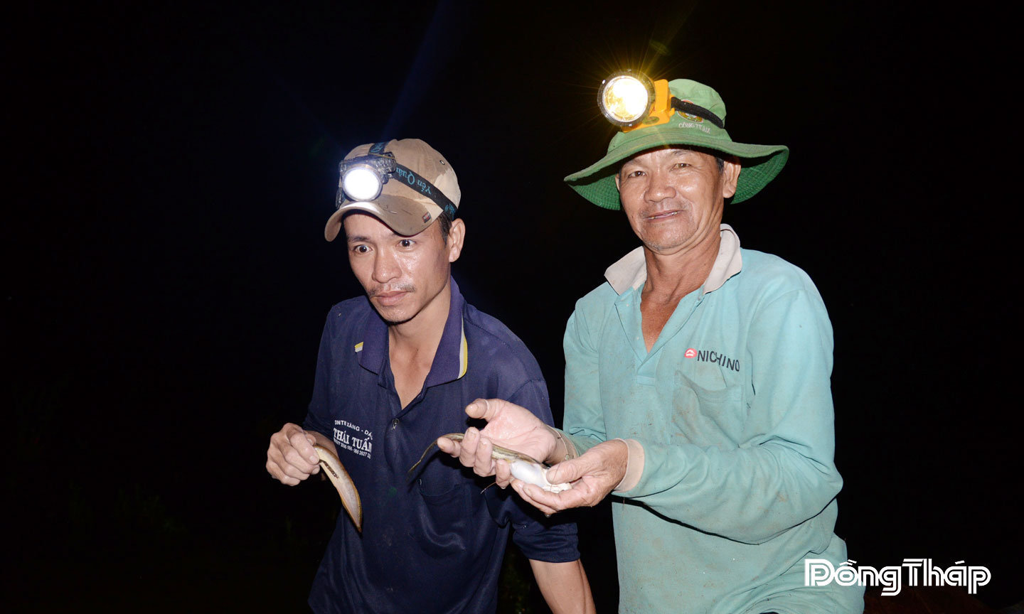 Anh Nguyễn Văn Thành (bìa phải) cho biết, mỗi đêm, kéo lưới trên cánh đồng nước nổi, bán cá cho thương lái có thu nhập khoảng 800.000 đồng.