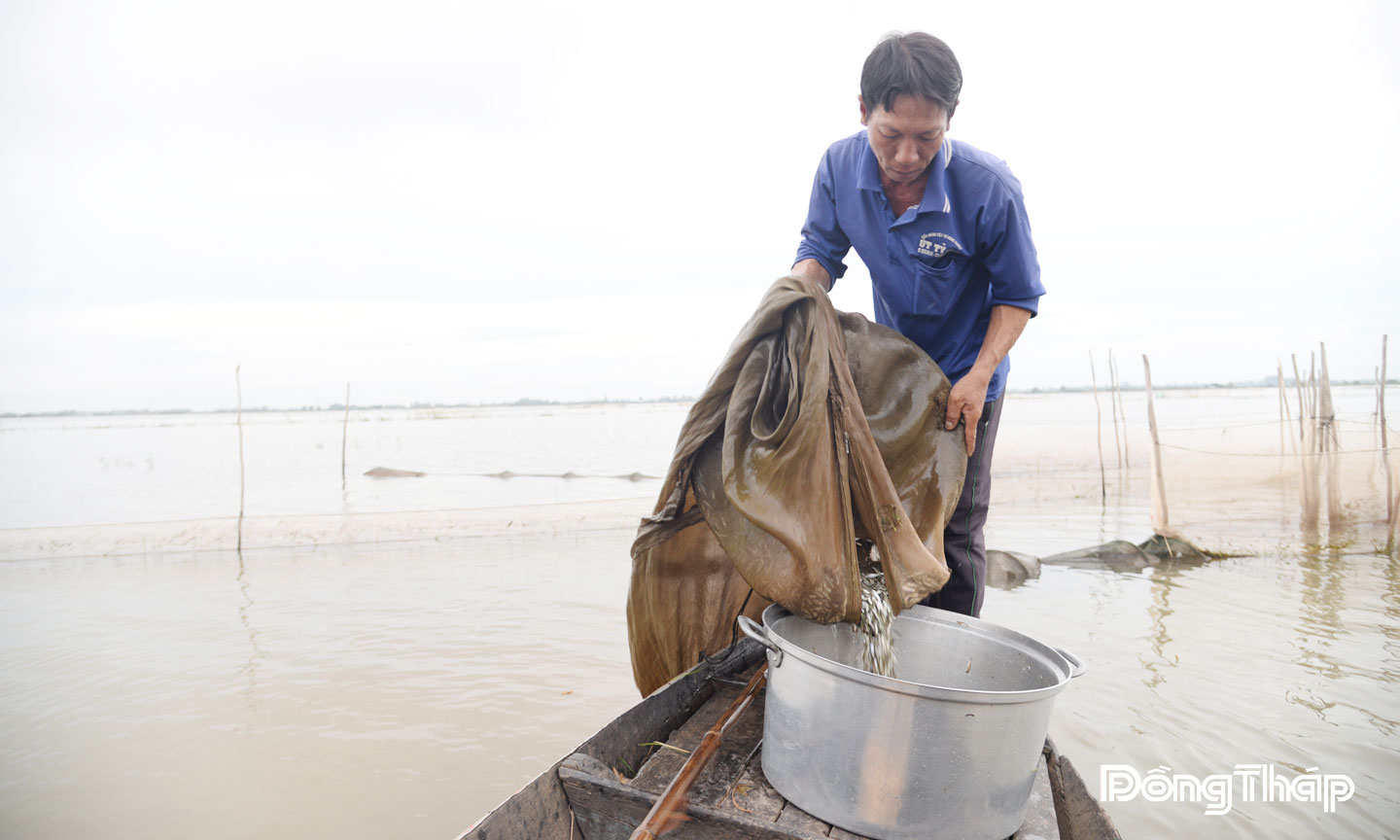 Anh Lê Văn Hải (ngụ ấp Giồng Bàng, xã Thường Phước) đầu tư  7 cái dớn khoảng 3 triệu đồng. Mỗi ngày, anh dỡ dớn được khoảng 100 kg cá các loại, thu nhập khoảng 500.000 đồng.