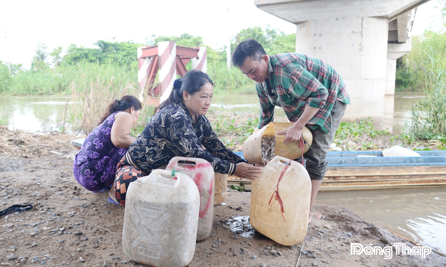 Từ sáng sớm, ngư dân mang cá, tôm đánh bắt được  ra chợ bán, giúp cải thiện kinh tế gia đình.