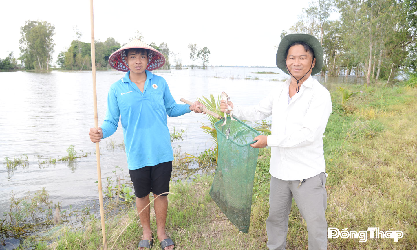 Người dân biên giới tranh thủ nhấp ếch đồng mùa nước nổi, kiếm thêm thu nhập.