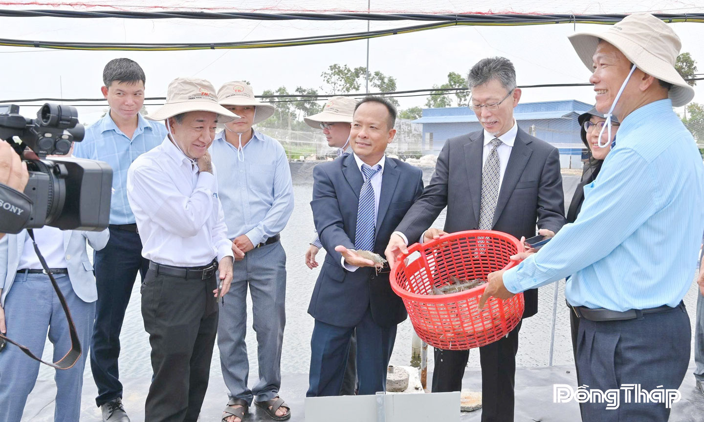 Lãnh đạo xã Tân Phú Đông (tỉnh Đồng Tháp) tham quan mô hình nuôi tôm công nghệ cao.