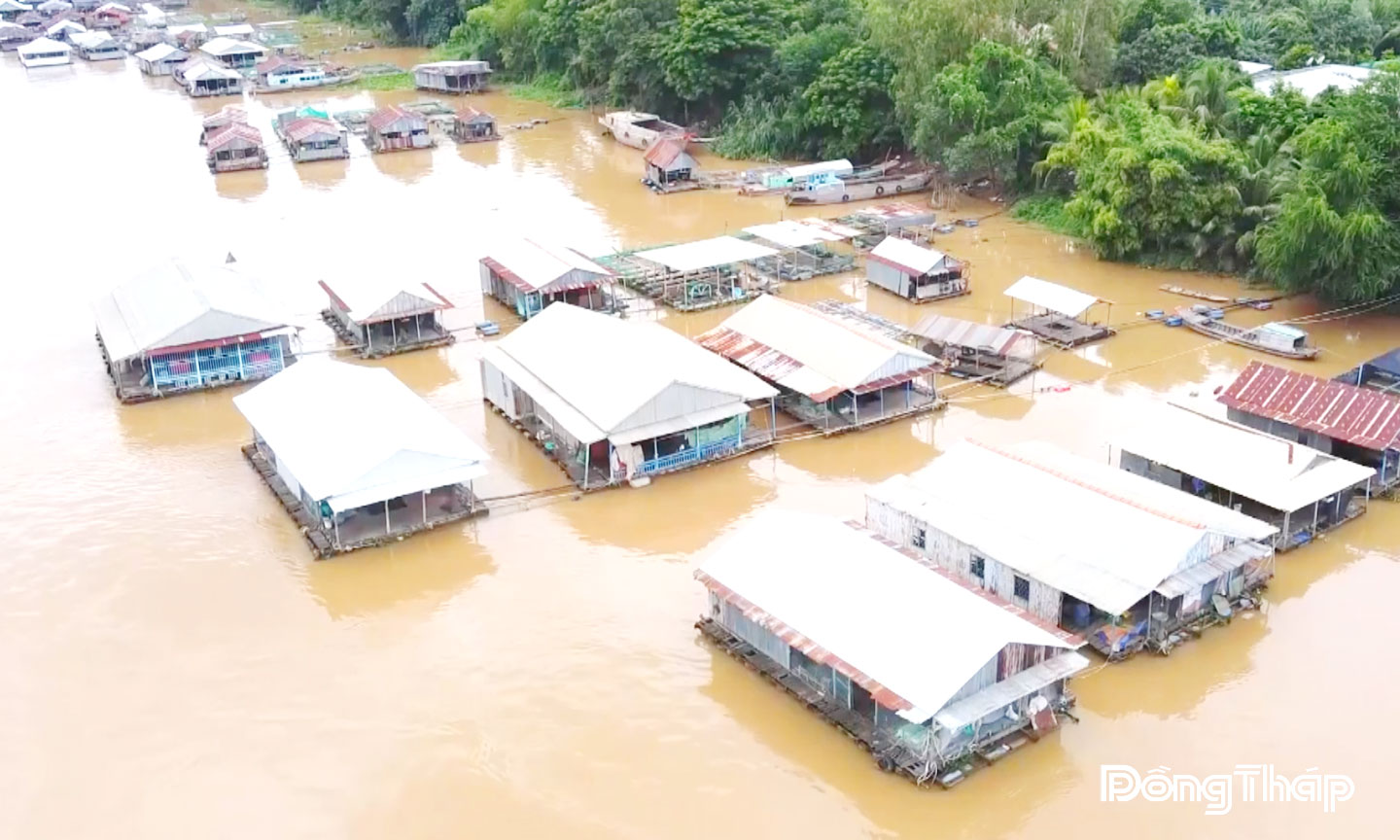 Các cù lao ở tỉnh Đồng Tháp phát triển vùng nuôi cá bè trên sông Tiền có tiềm năng  phát triển du lịch cộng đồng.