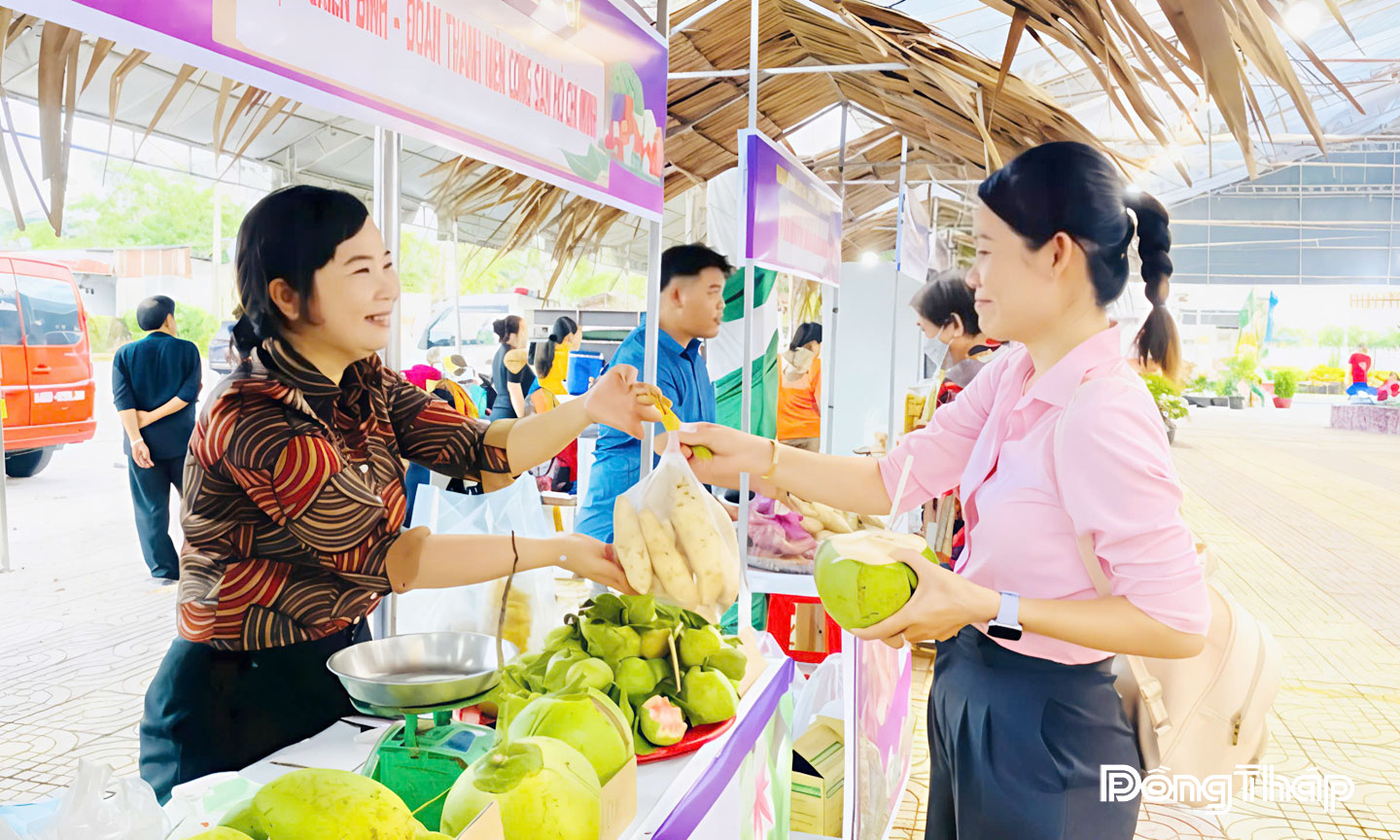 Các Hội quán trên địa bàn xã Tân Phú Trung tham gia trưng bày giới thiệu sản phẩm tại Ngày hội nông sản của địa phương.