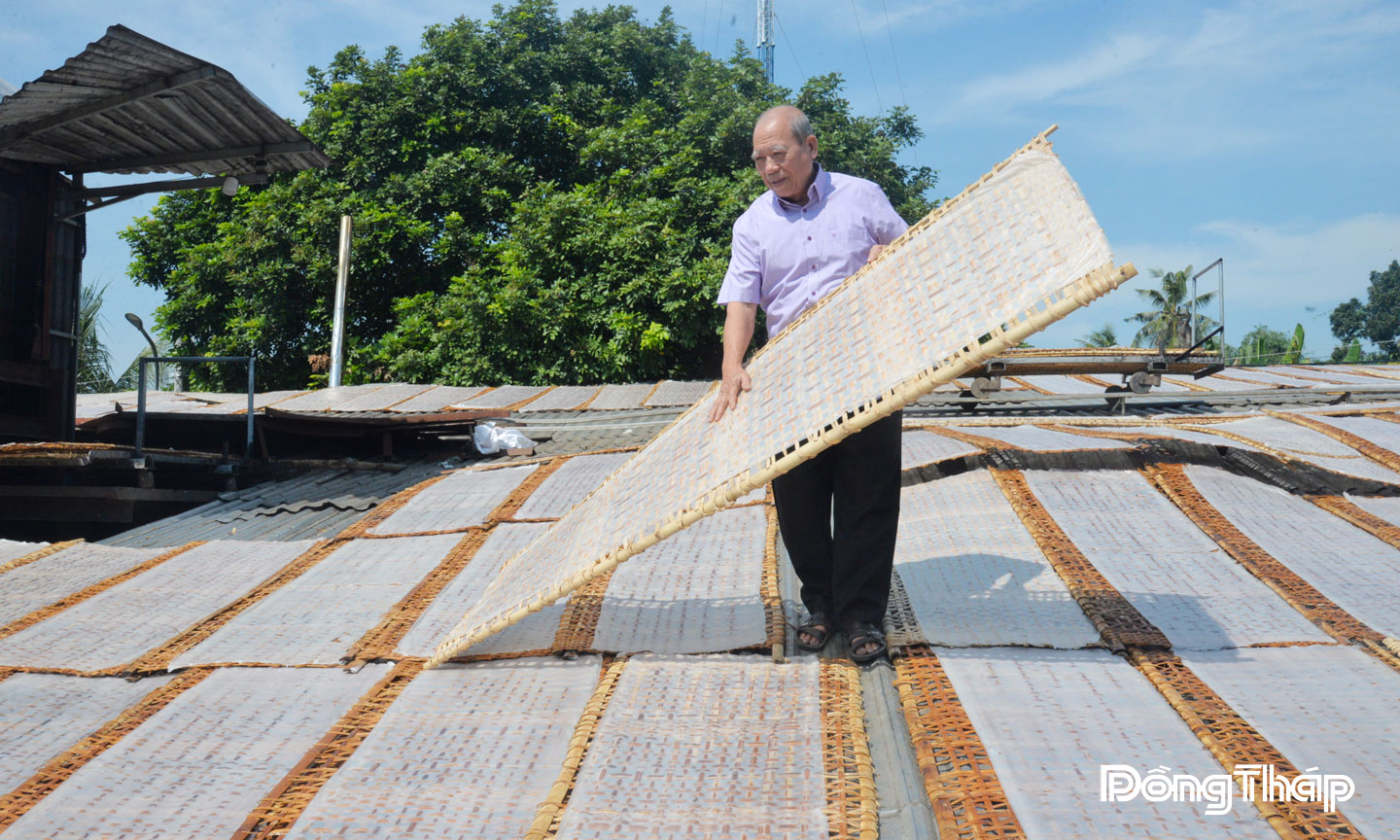 Ông Trương Văn Thuận, Tổ trưởng Tổ hợp tác Sản xuất hủ tiếu Mỹ Tho phơi bánh hủ tiếu.