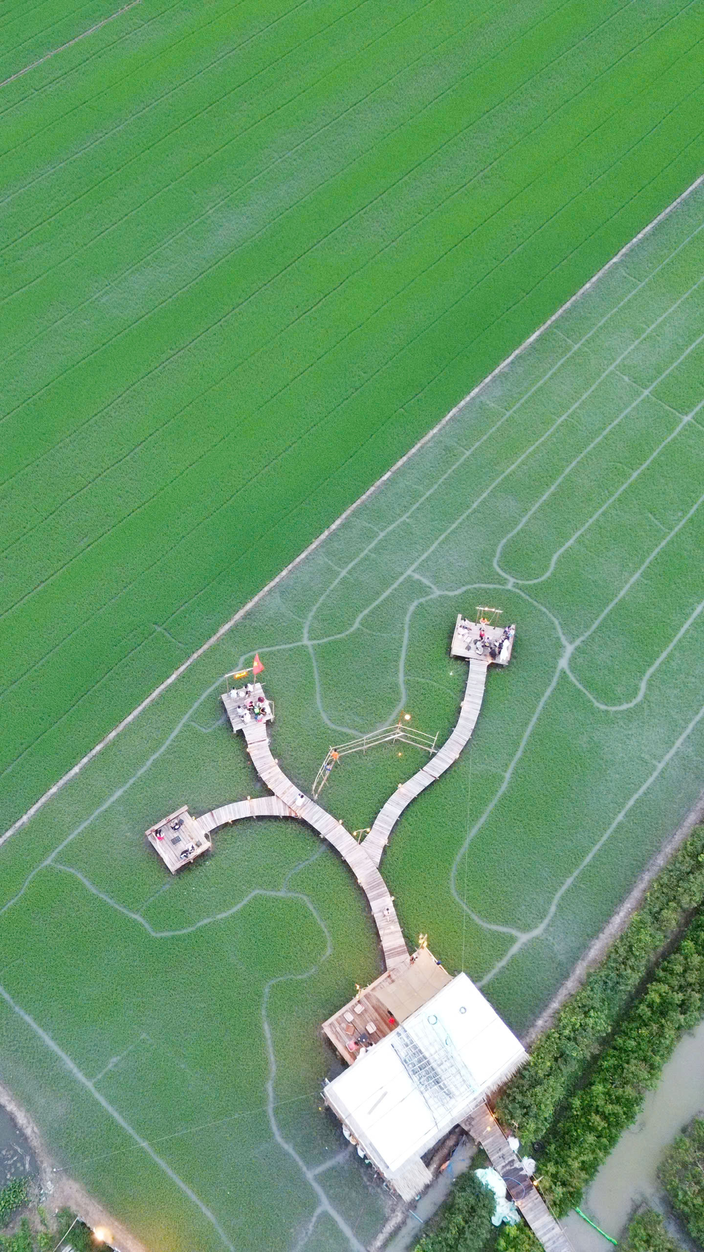 Quán cà phê “Hai Ơi” nhìn từ trên cao.