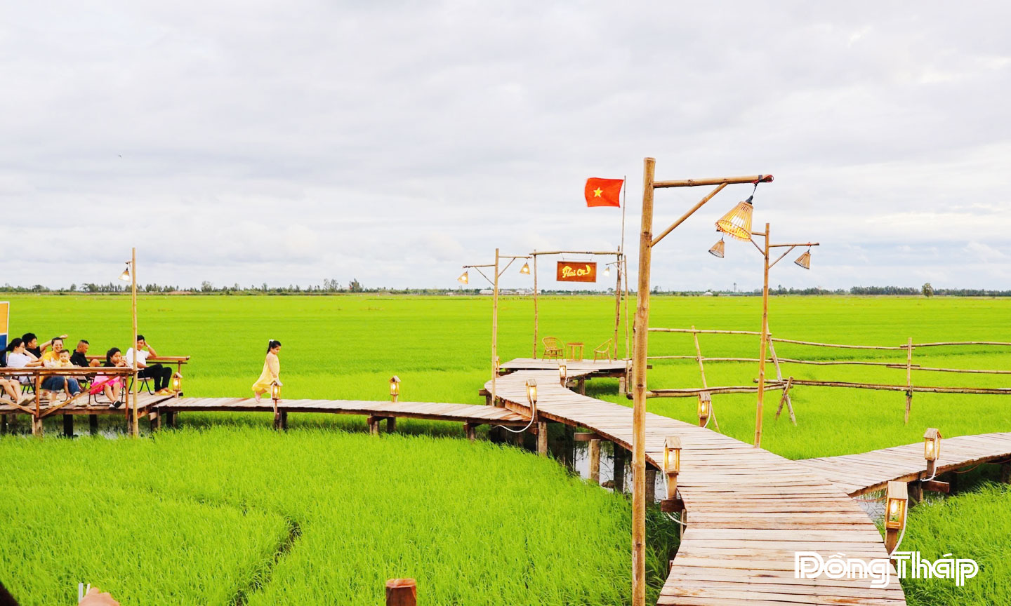 Những chiếc cầu gỗ uốn lượn được anh Phùng Minh Nhật thiết kế tinh tế tạo lối đi cho khách nhưng vẫn giữ nguyên hiện trạng canh tác, không ảnh hưởng nhiều đến cây lúa.