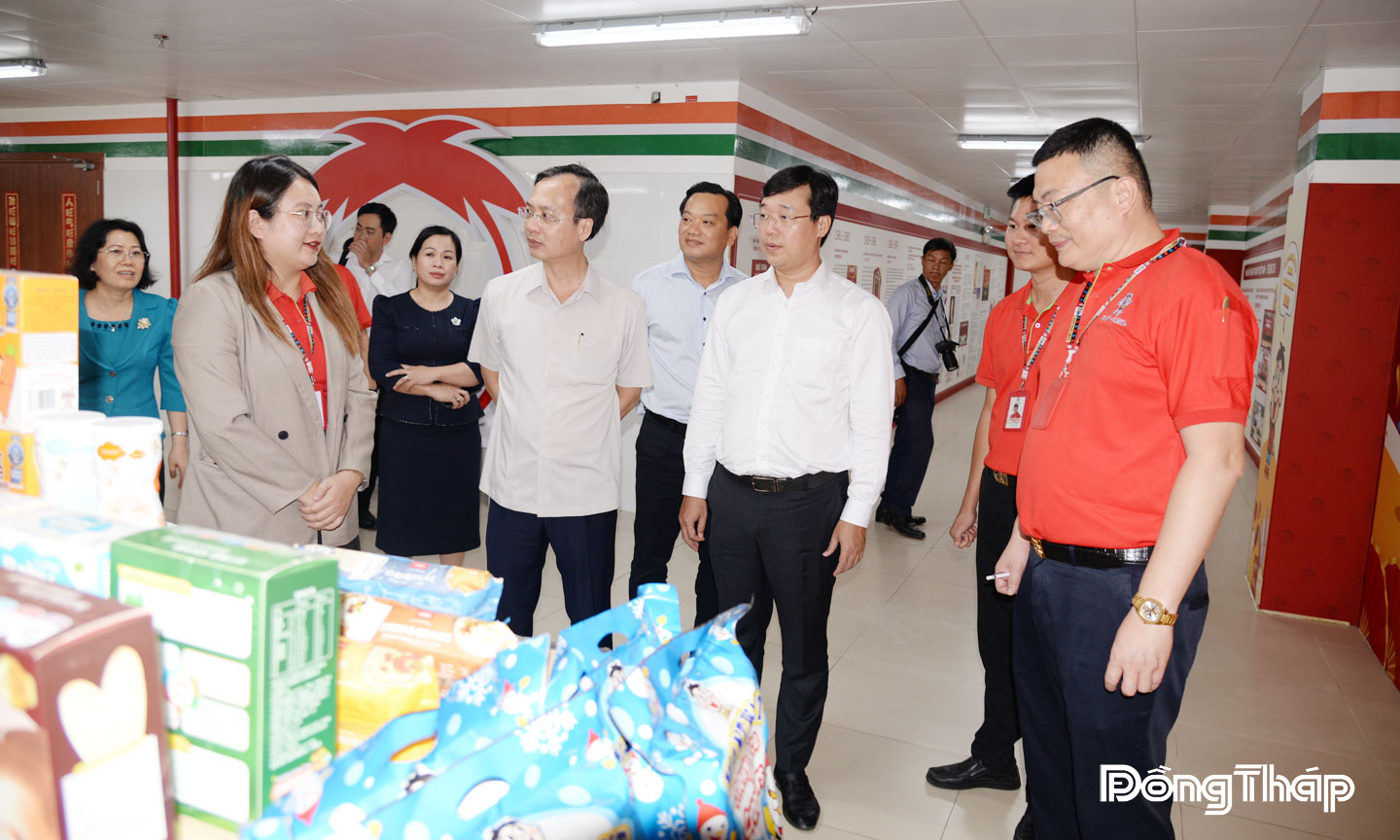 Lãnh đạo tỉnh tìm hiểu hoạt động sản xuất của các doanh nghiệp trong Khu công nghiệp Long Giang.