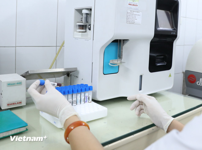 Ảnh minh họa. (Nguồn: Vietnam+)