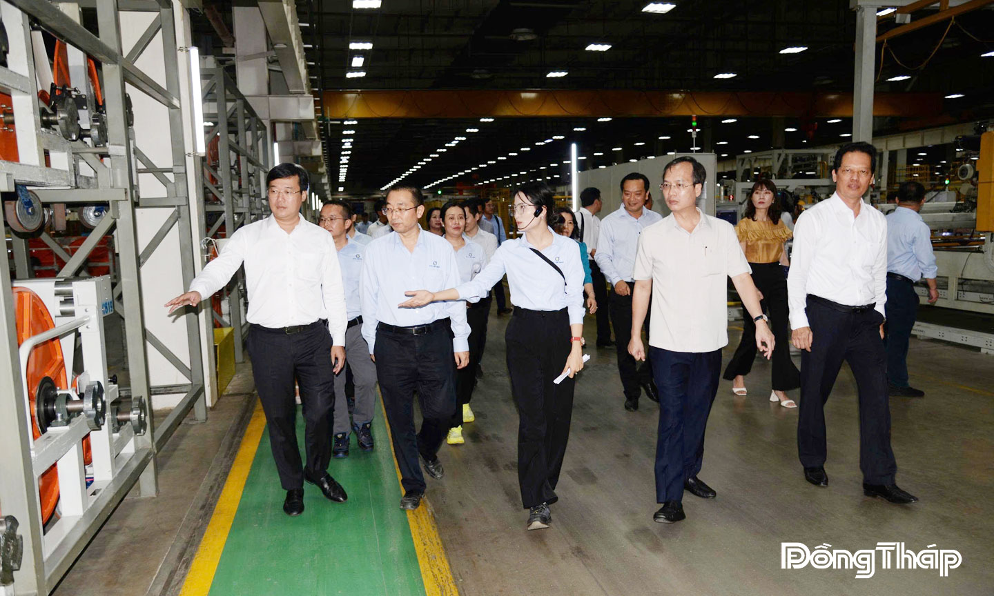 Lãnh đạo tỉnh tham quan nhà máy của Công ty TNHH Lốp Advance Việt Nam.        Ảnh: MINH THÀNH