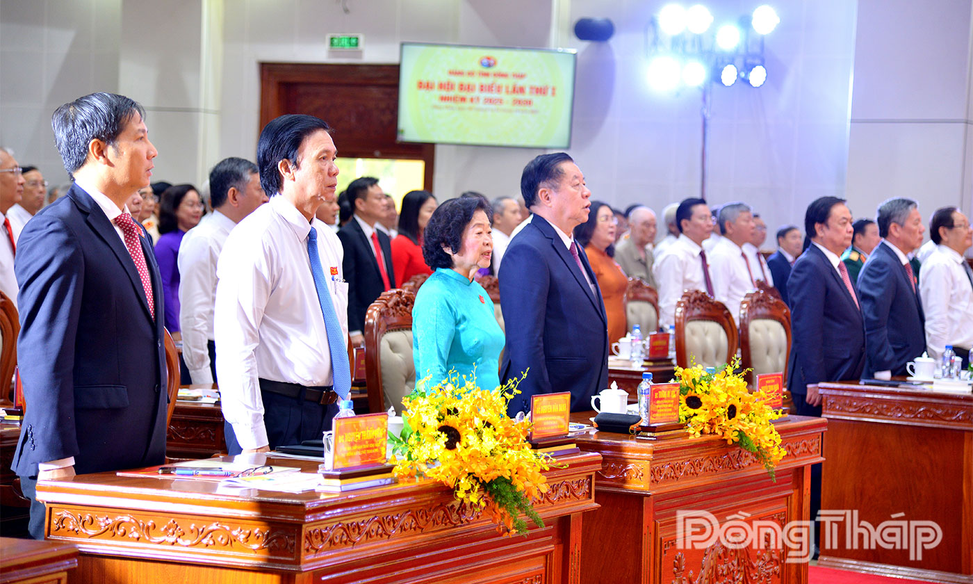 Các đại biểu thực hiện nghi thức chào cờ.