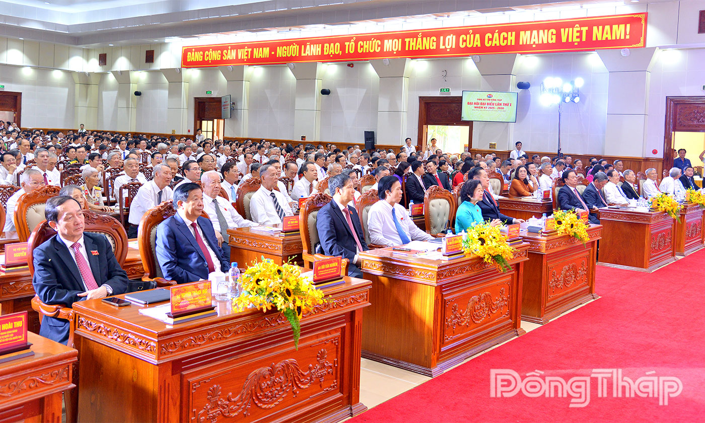 Các đại biểu tham dự Đại hội.