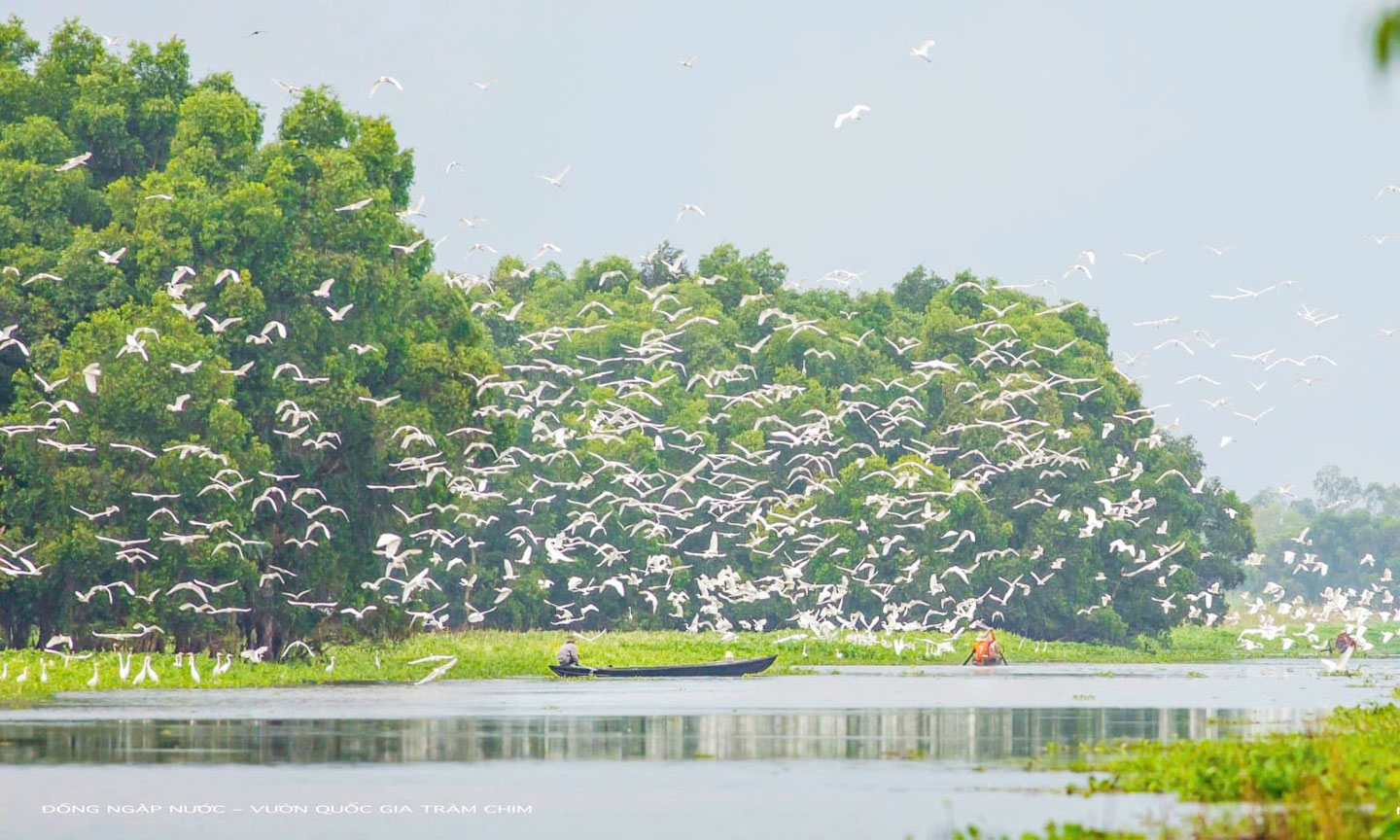 Một góc của khu vực vùng lõi của Vườn Quốc gia Tràm Chim.                                                                                      Ảnh: THÀNH HƯNG