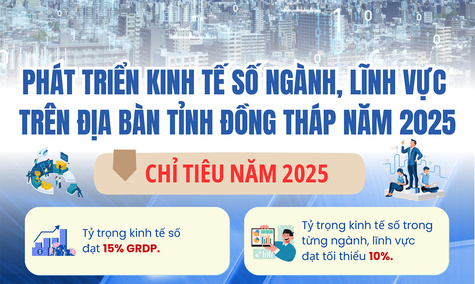 [Infographic] Phát triển kinh tế số ngành, lĩnh vực trên địa bàn tỉnh Đồng Tháp năm 2025